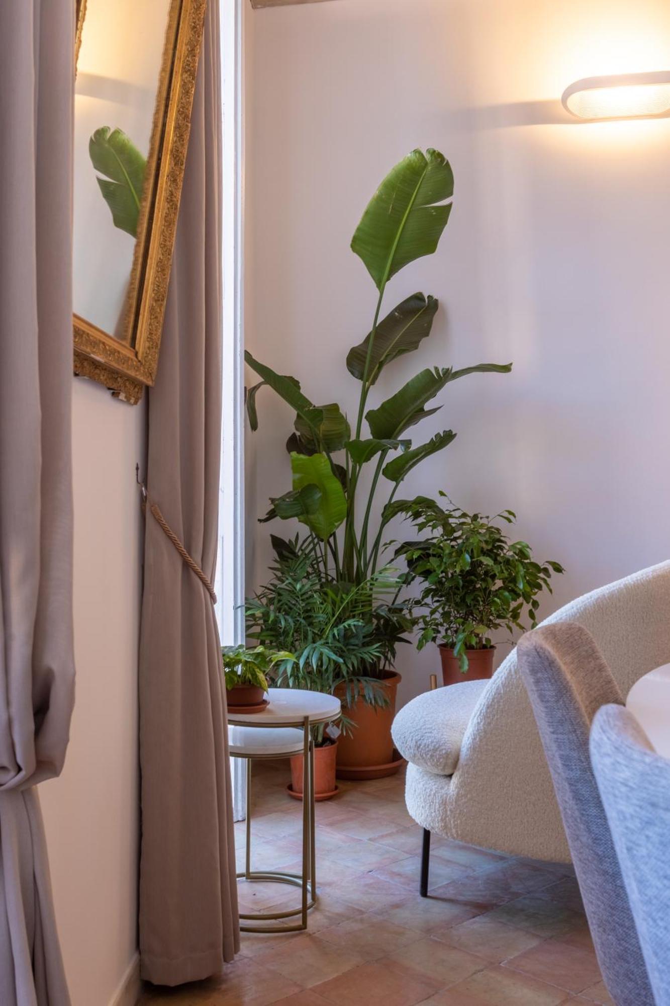Suite Navona Rzym Zewnętrze zdjęcie